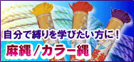 �ȒP�ɔ��������ł��閃��/�J���[��